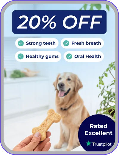 Ad design: dog dental chews, 20% off, rated Excellent on Trustpilot
