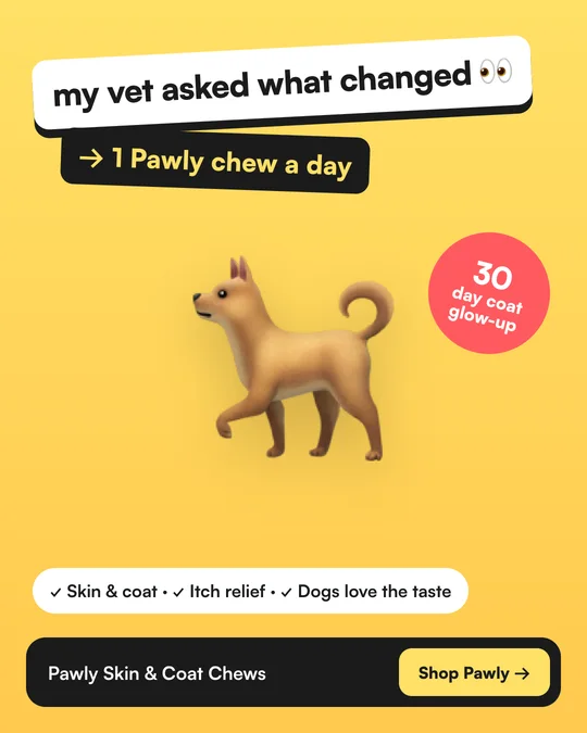 UGC-style ad for Pawly pet chews