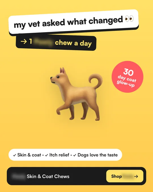 UGC-style ad for a pet chews brand
